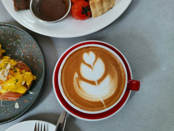 Transform Your Skin: Top Herbal Remedies to Boost Elasticity for Women Aged 30 and Above